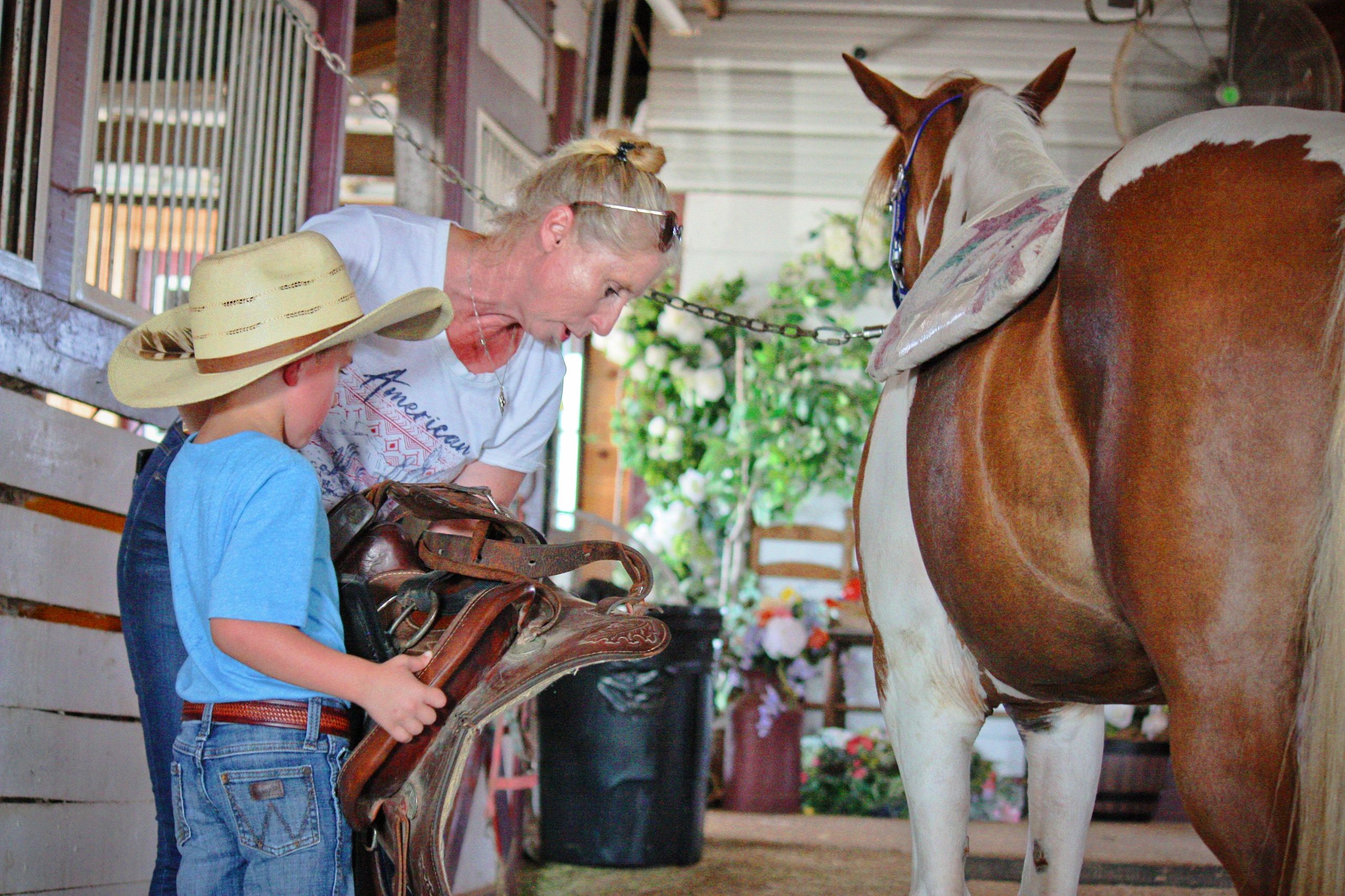 Trick Riding Lessons Twisted Arena