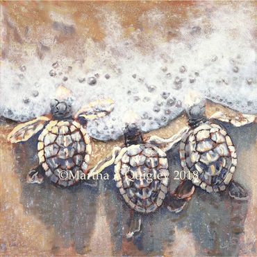 Baby Turtles, Baby Loggerhead turtles, turtle hatchlings, turtle paintings, 