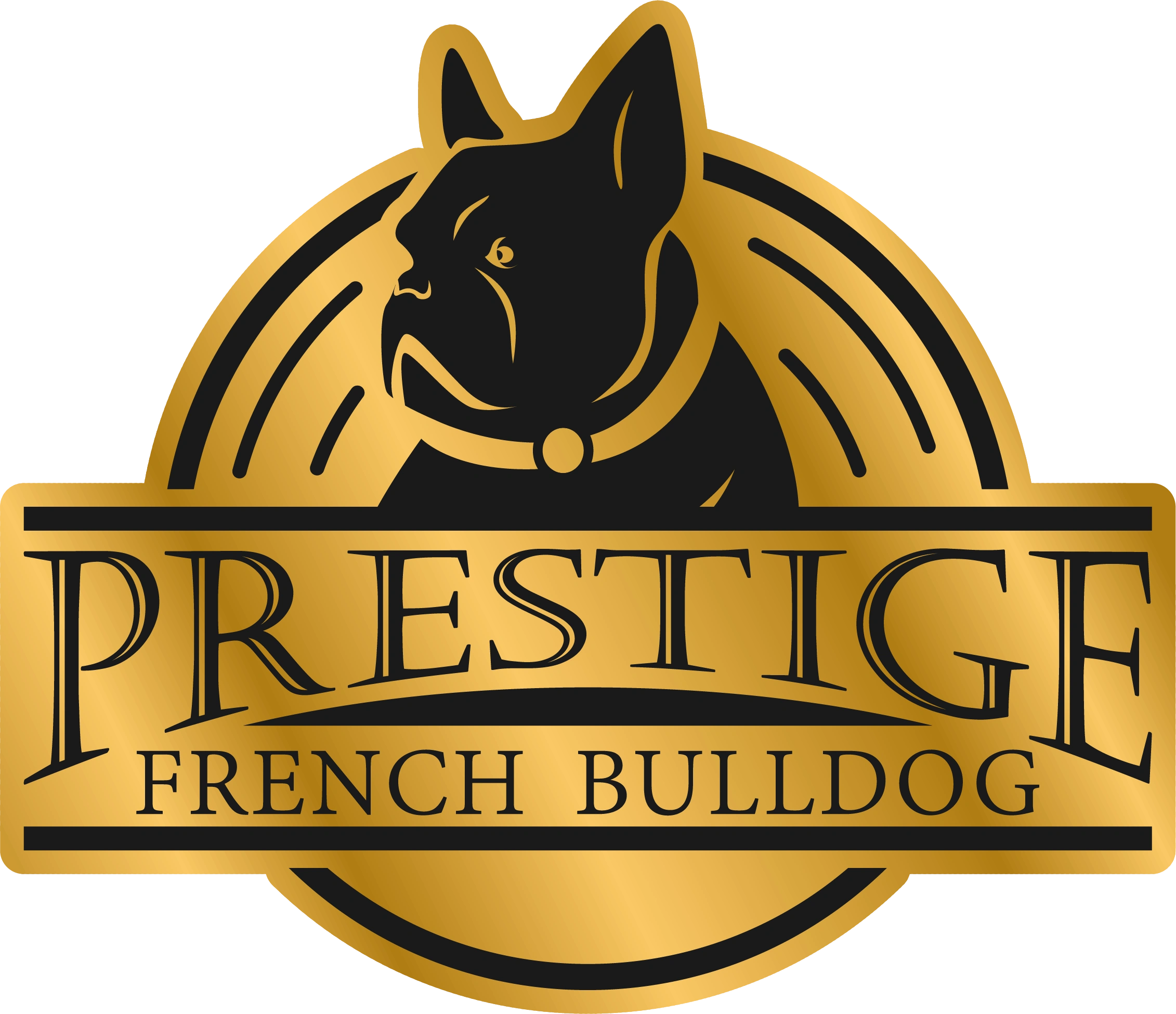 Prestige French Bulldog 