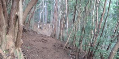 Are you adventrous and enjoy hikling to hudden wonders 