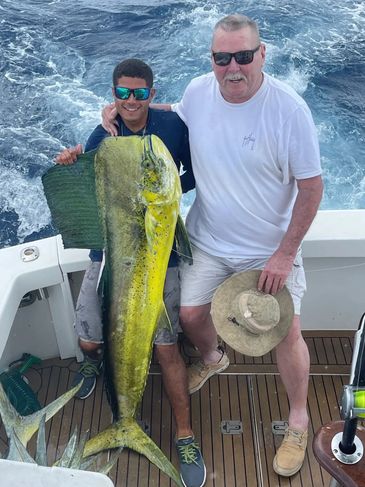 mahi mahi fishing in marina cap cana
