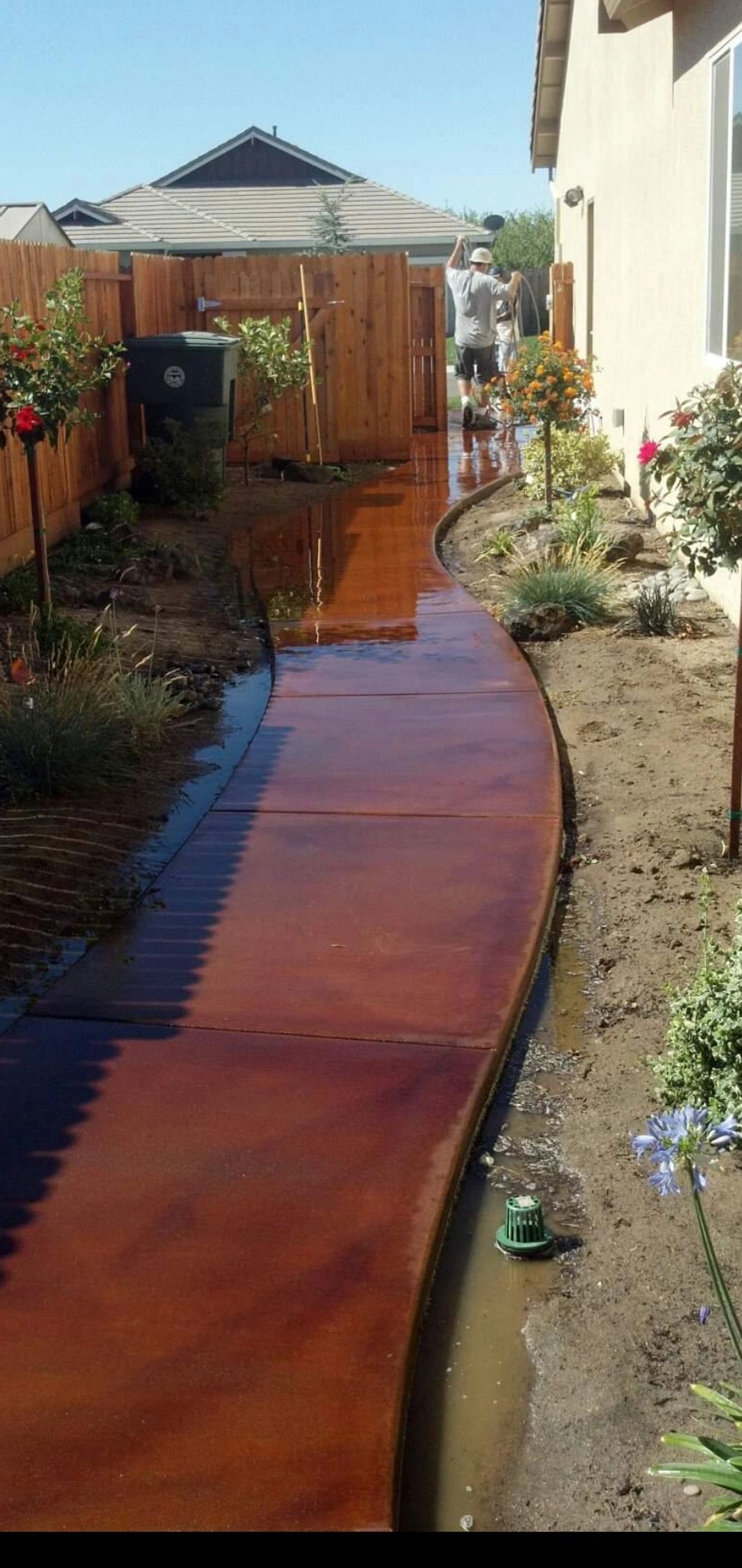 Landscaping and walkway after acid stain installation.