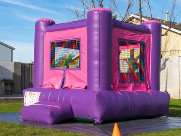 Small toys and bouncer animal soft play. 