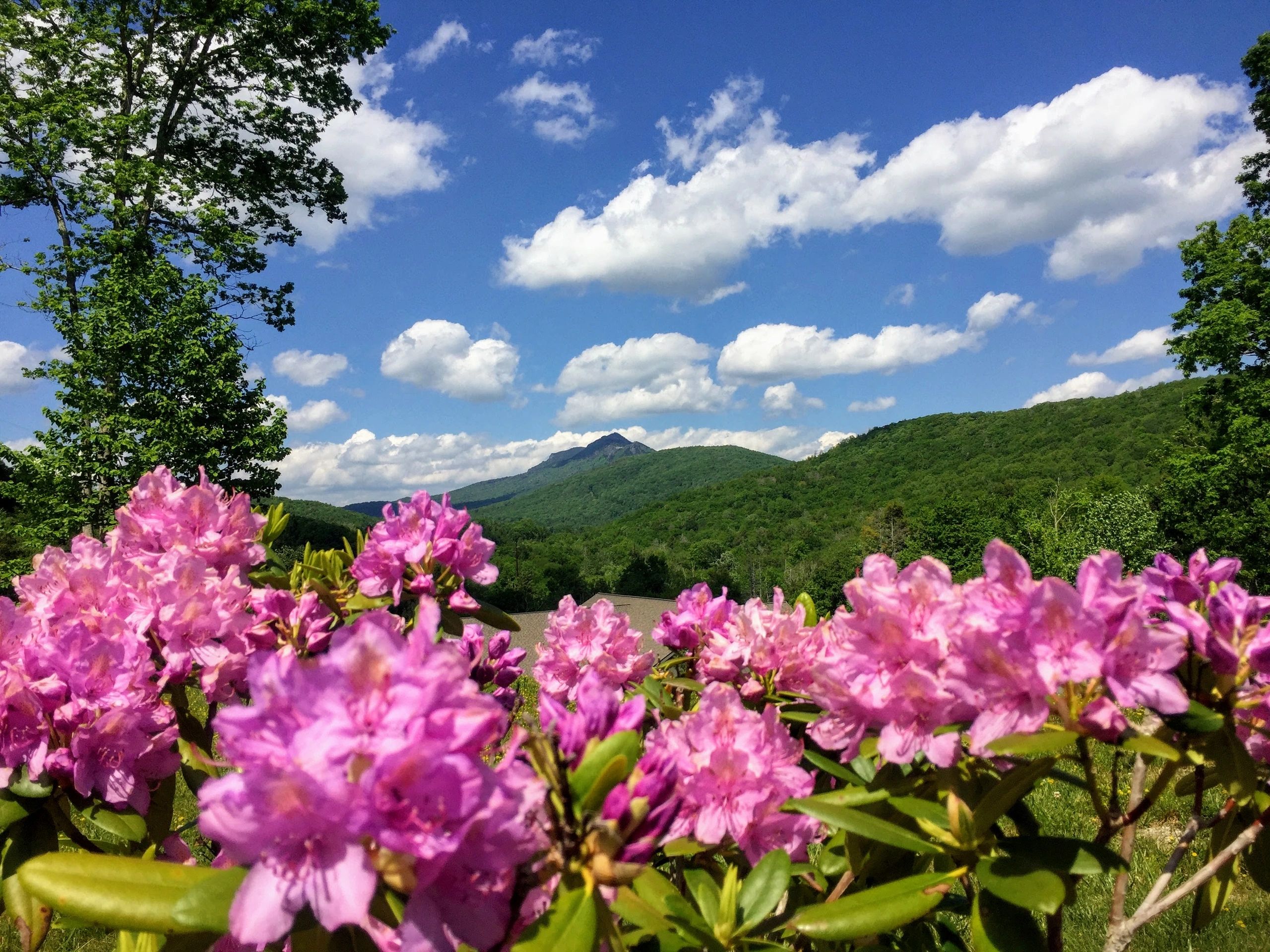 Webcams | Travel NC Mountains