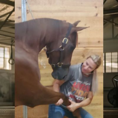 Ashleigh Jackson with brown horse in a barn equine therapy for race horses and performance