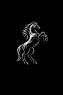 Friesian Moving Solutions