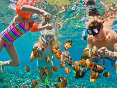 A family snorkeling underwater surrounded by colorful fish.
