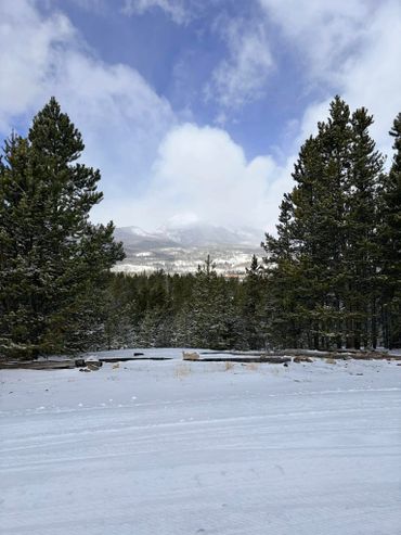 Snowy landscape with pine trees and cloudy sky.