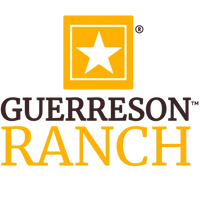 GUERRESON.COM 