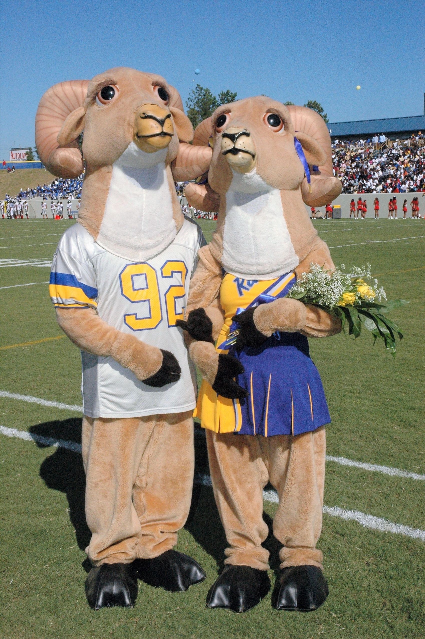 Ram Mascot University