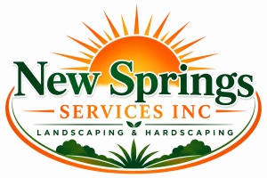 New Springs Services INC 