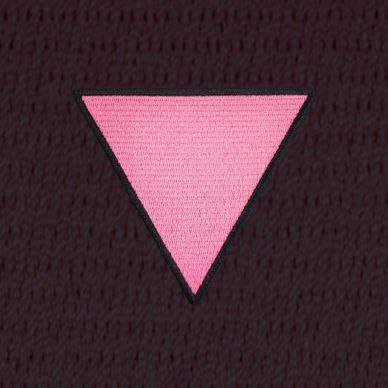 Pink Triangle Gay persecution in the Holocaust