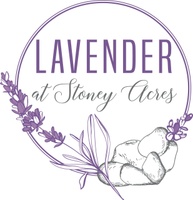 Lavender at Stoney Acres