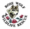 Rose Wolf Wildlife Rescue
and Rehabilitation Center
209-206-6243