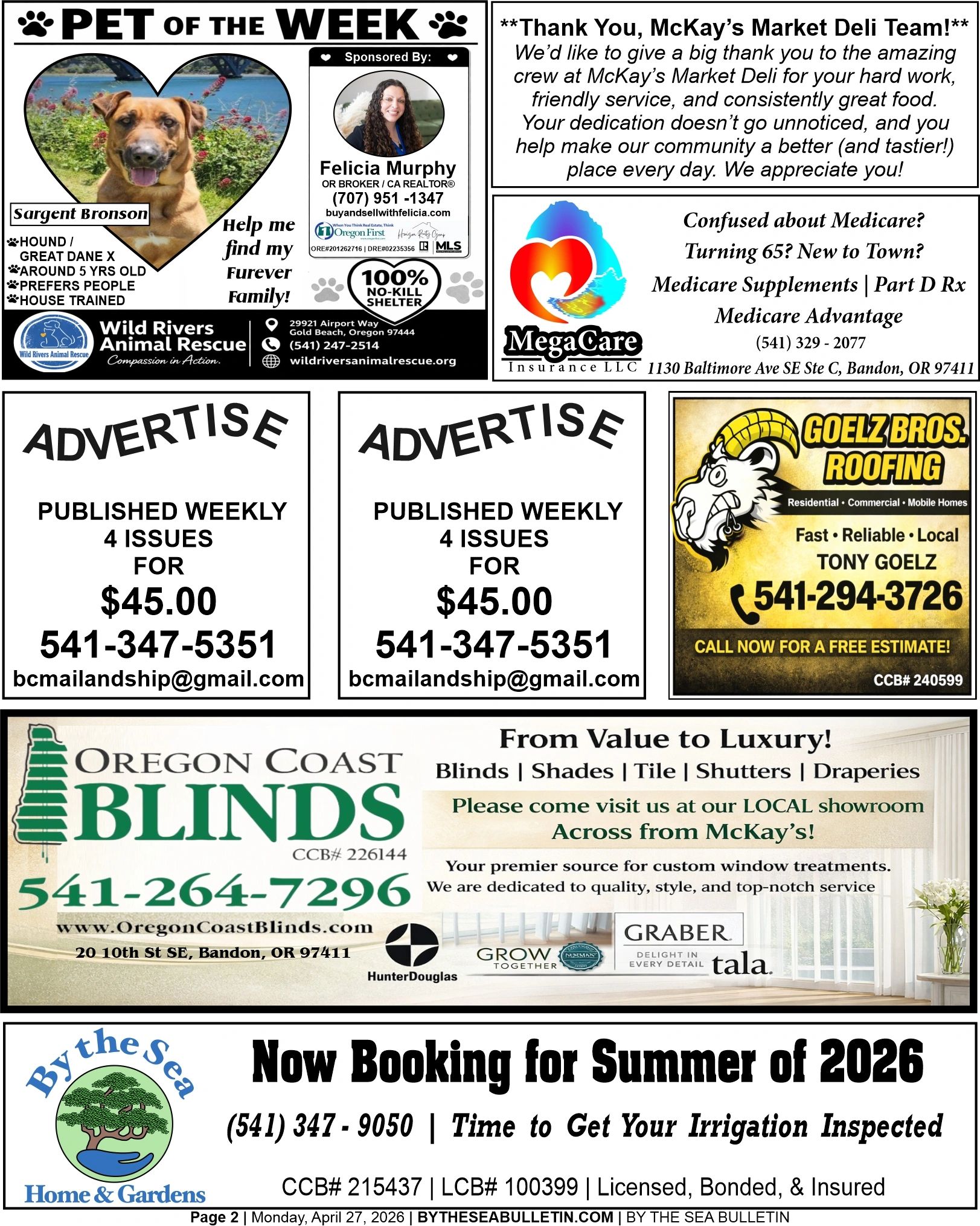 Pet of the week Sargent Bronson with ads for local services and Medicare help.