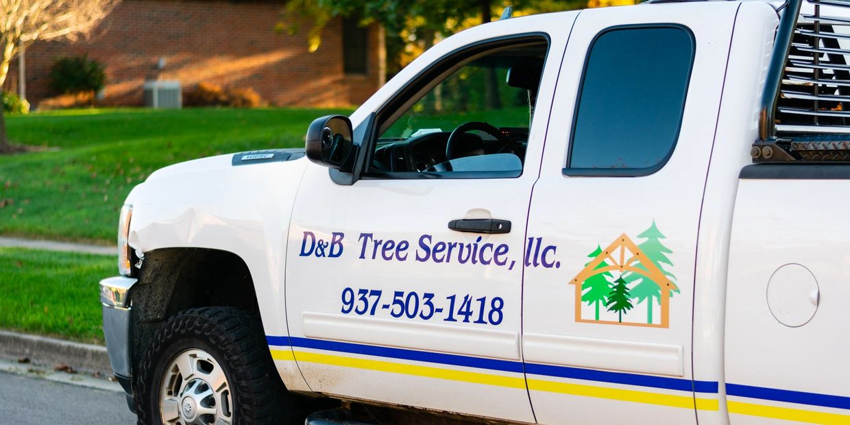 D and B Tree Services LLC