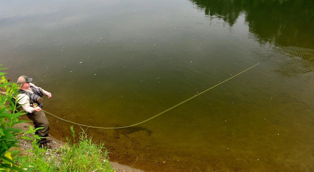 blazerod fishing pole "Blaze Graphite Telescopic 4 Piece 12 ft Fishing Pole"
