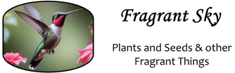 Fragrant Sky