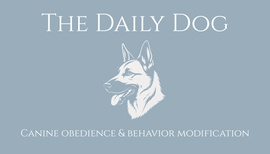 The Daily Dog