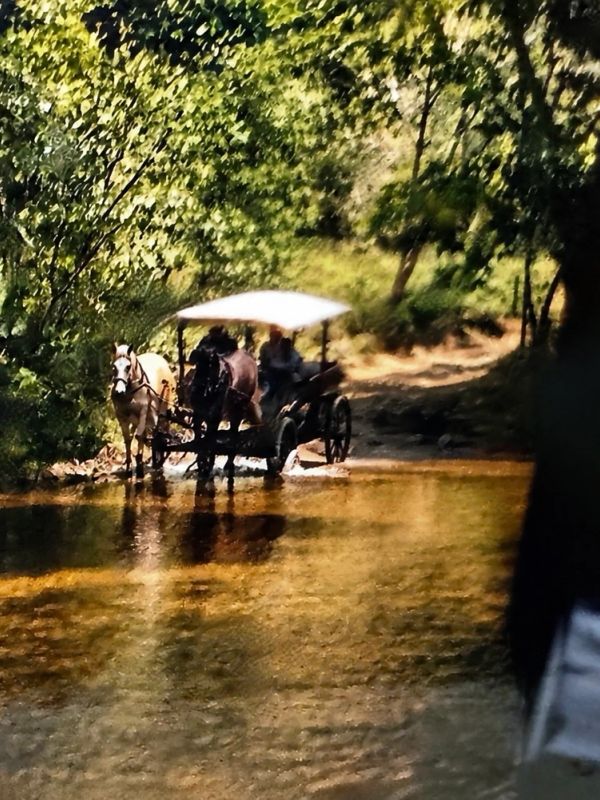 Horse-drawn carriage crossing a shallow river.