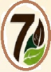 Coffee Tisane