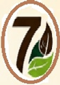 Coffee Tisane
