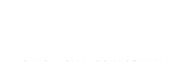 bayoucityconsultants.com