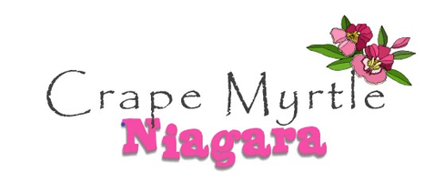 Crape Myrtle Niagara