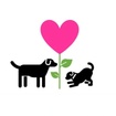 Heart Bloom Studios