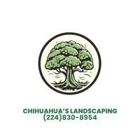 Chihuahua’s Landscaping
