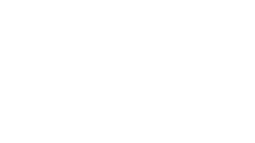 sheep media