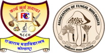 AFB Conference 2025