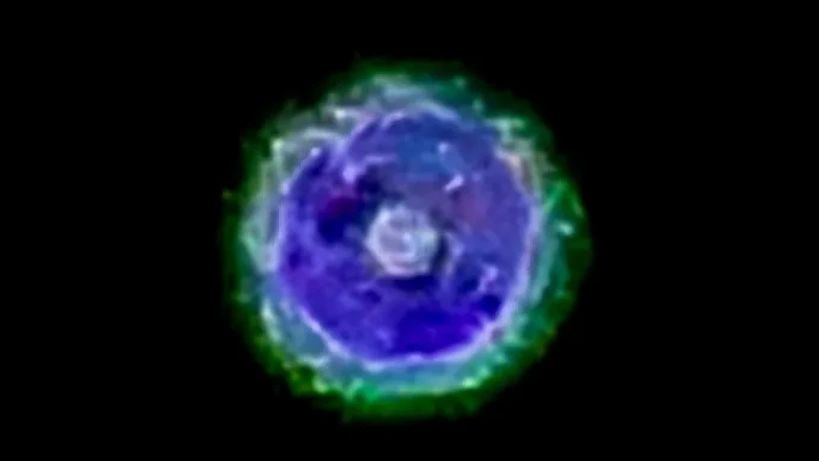 Sirius Star System

