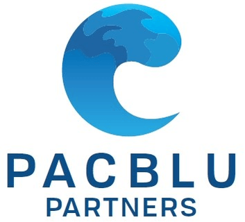 PacBlu Partners Consulting Services