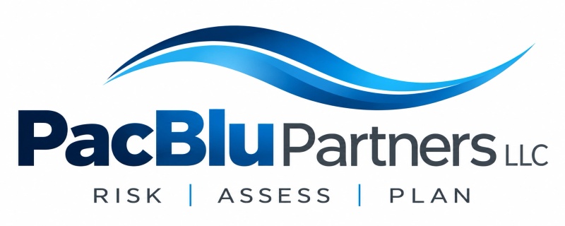 PacBlu Partners Consulting Services