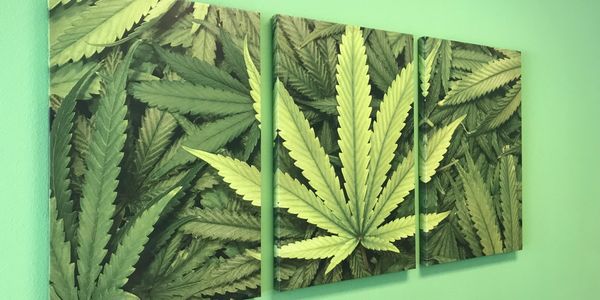 Sacred Leaf Conroe, CBD Hemp Wall Art