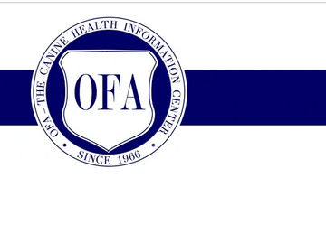 OFA logo image