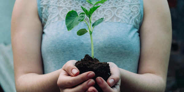 vamos de la mano con la sostenibilidad de nuestros productos junto con nuestros proveedores. 