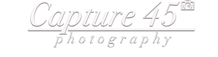 Capture 45