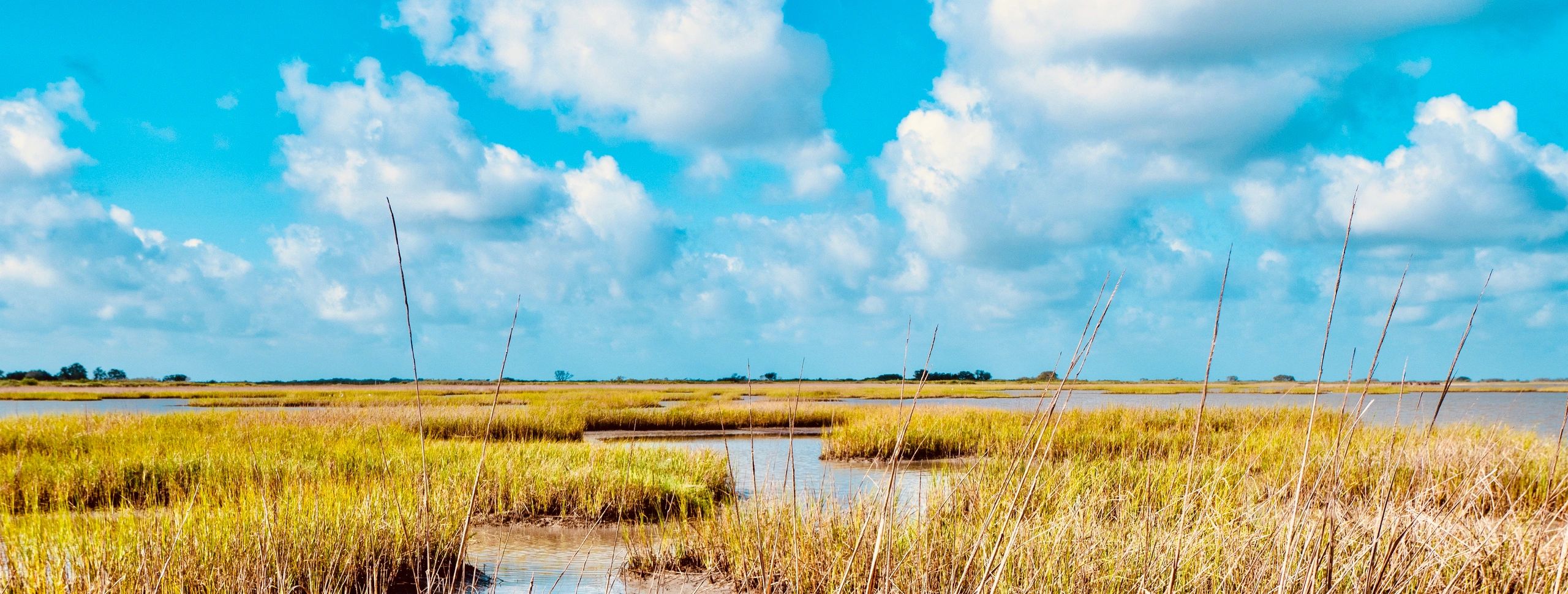 Protecting Estuaries and Preserving the Texas Coast San Antonio Bay