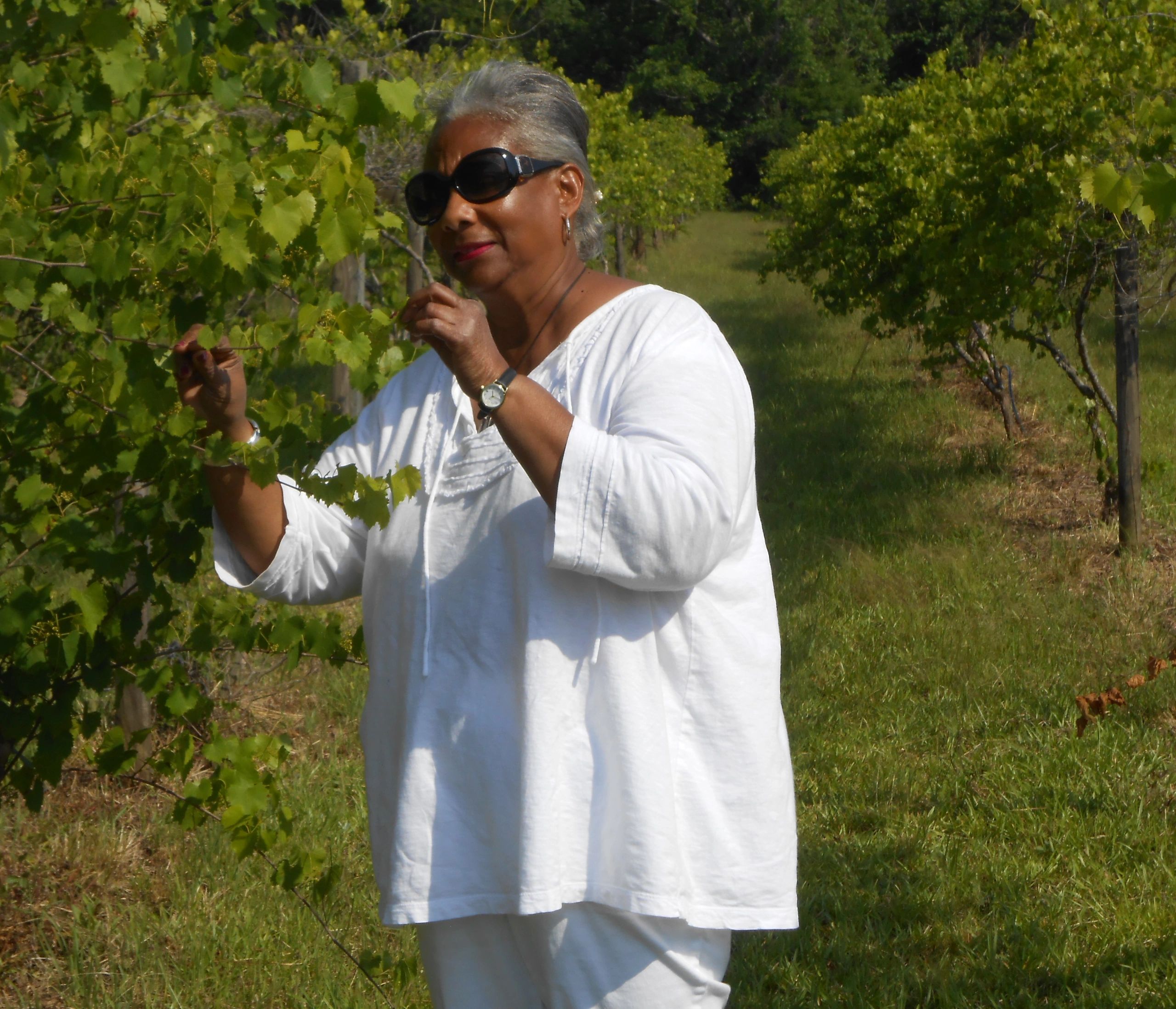 Mrs. Bowman walking through vineyard