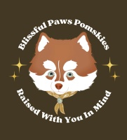 Blissful Paws Pomskies
