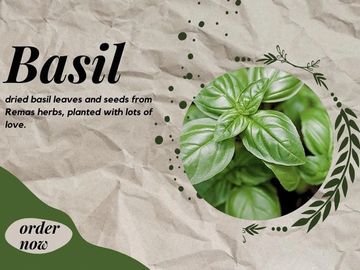Ocimum Basilicum