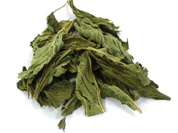 molokhia
Corchorus
olitorius
Jews
mallow
tossa
jute
ملوخية
ملوكية
الملوخية
الملوكية