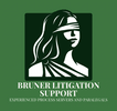 Bruner Litigation Support
