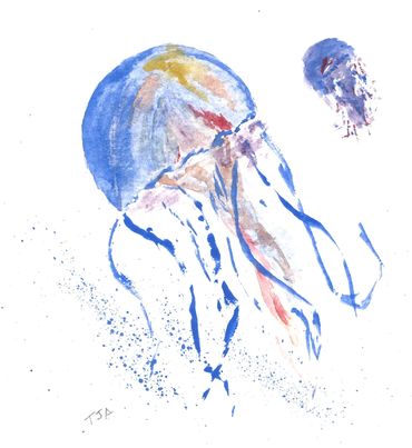 cape-may-watercolor
impressionist
original-cape-may-art
animal jellyfish blue-jellyfish