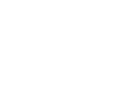 Event & Wedding Transportation Experiences