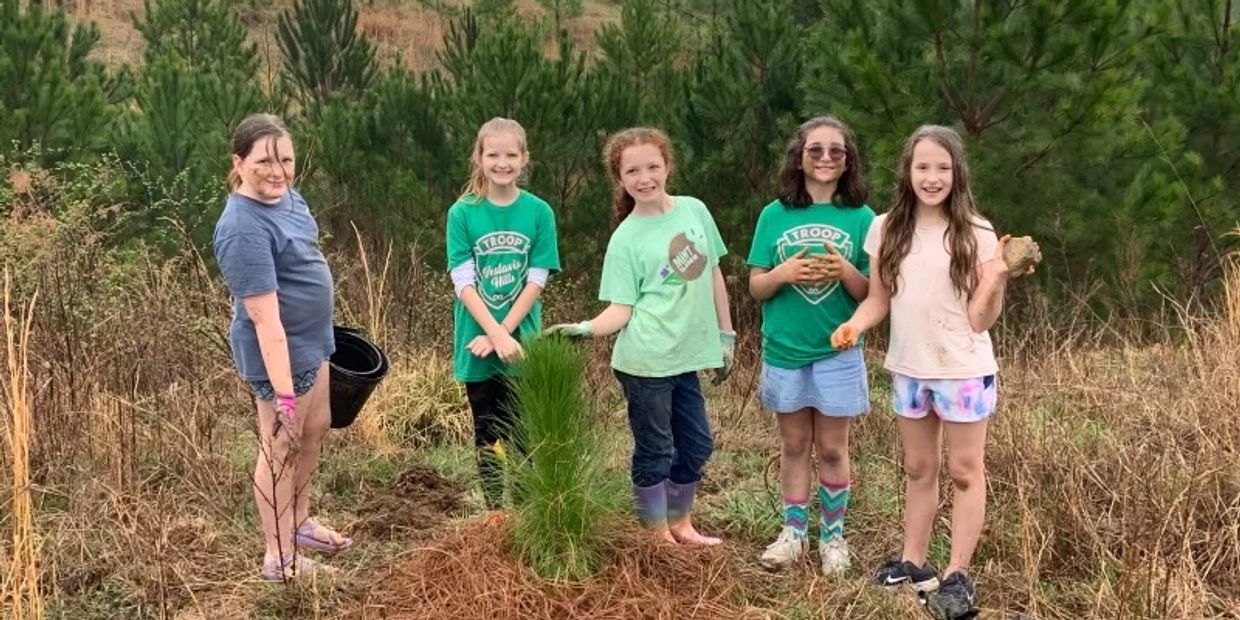 Troop 203 planting trees at SIcard Hollow.