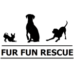 Fur Fun Rescue