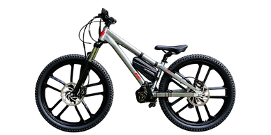 Silver mountain bike with thick tires and disc brakes.